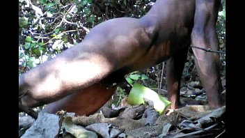 porn in congo forest
